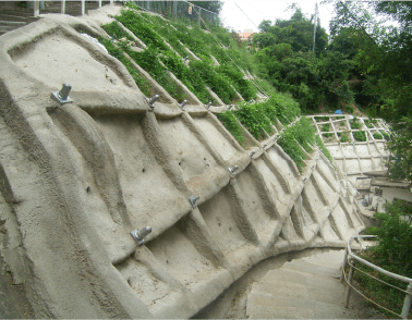 2006年 神戸市兵庫区