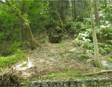 2015年 西宮市塩瀬