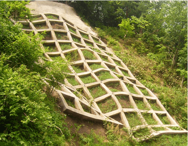 2006年 神戸市兵庫区