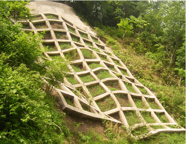 2006年　神戸市兵庫区