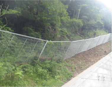 2015年 西宮市塩瀬
