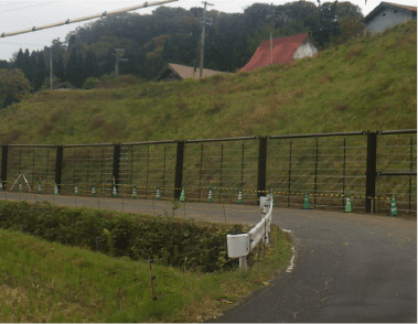 2015年 西宮市塩瀬